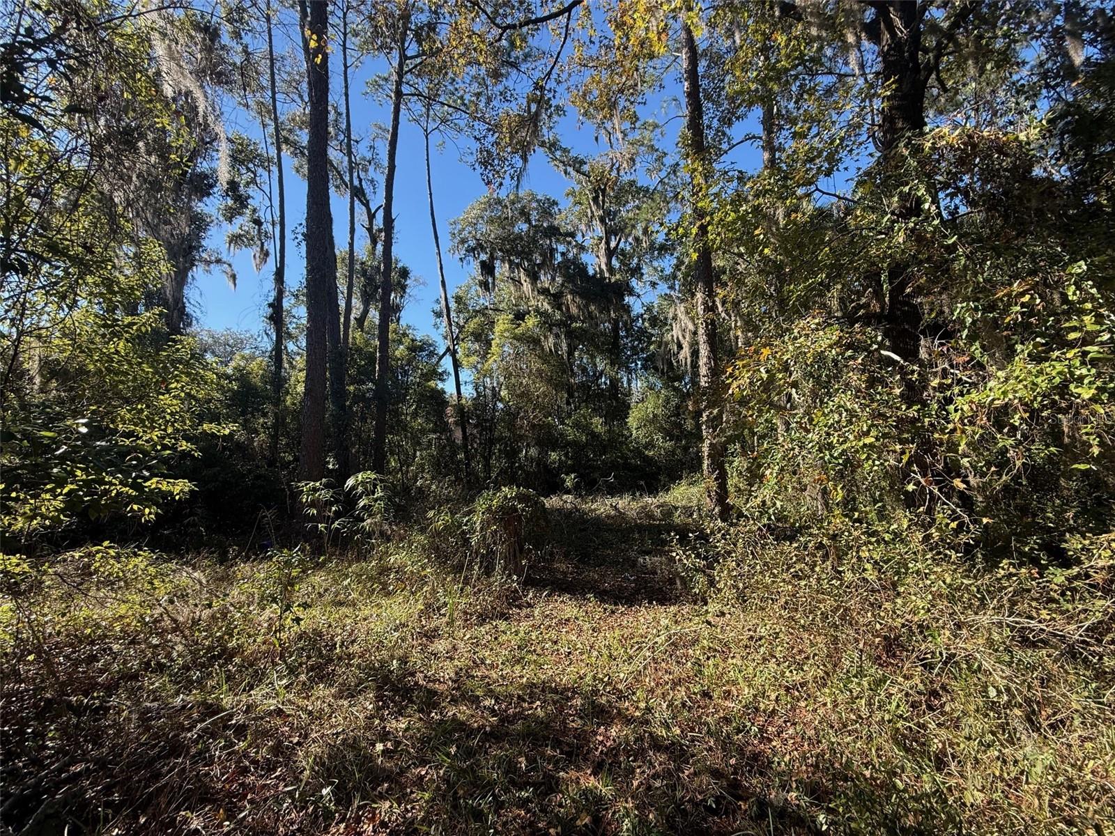 TBD NW 12TH ST, GAINESVILLE, FL — photo 8