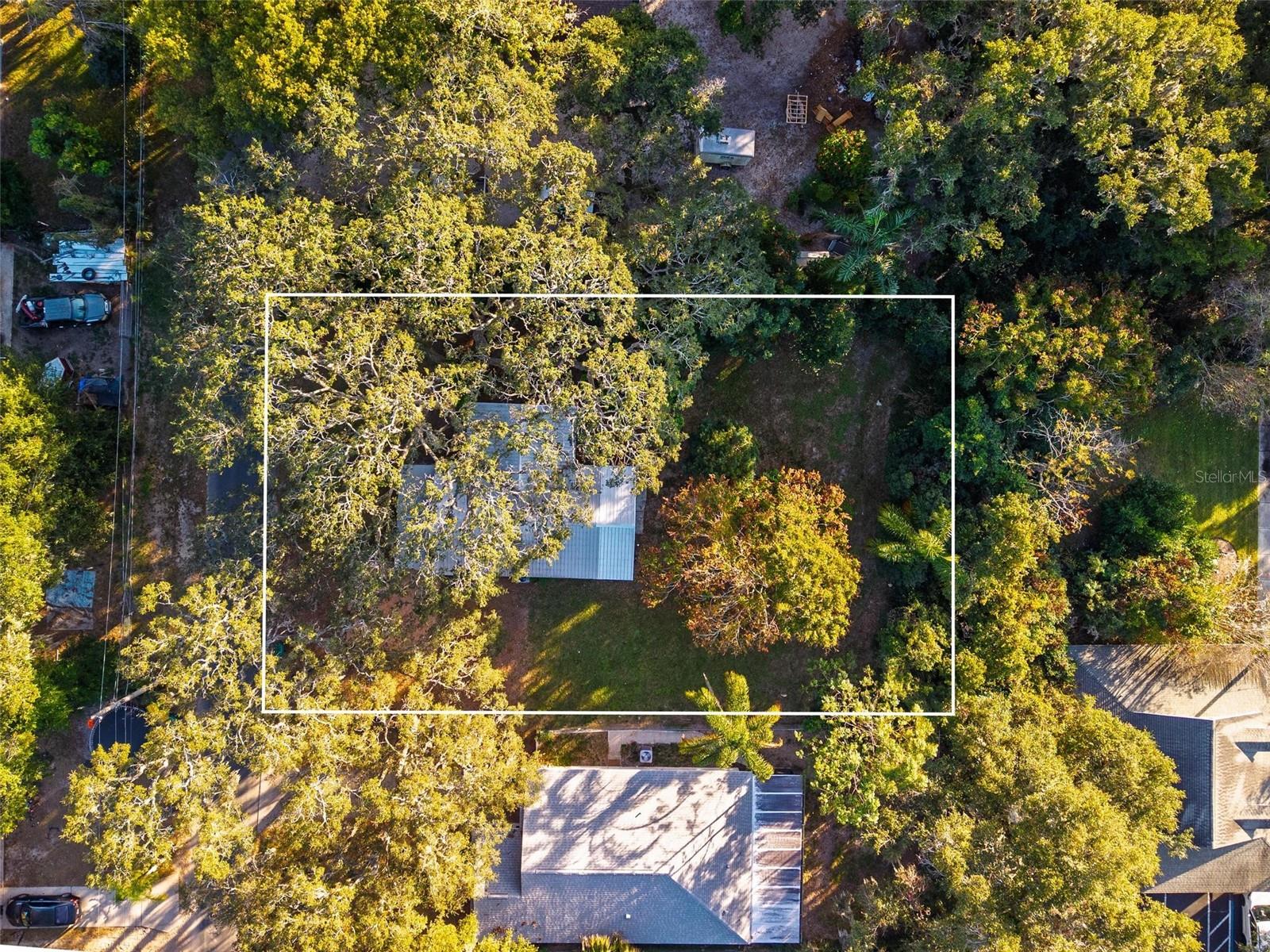 1503 GRANITE STATE CT, MOUNT DORA, FL — photo 123