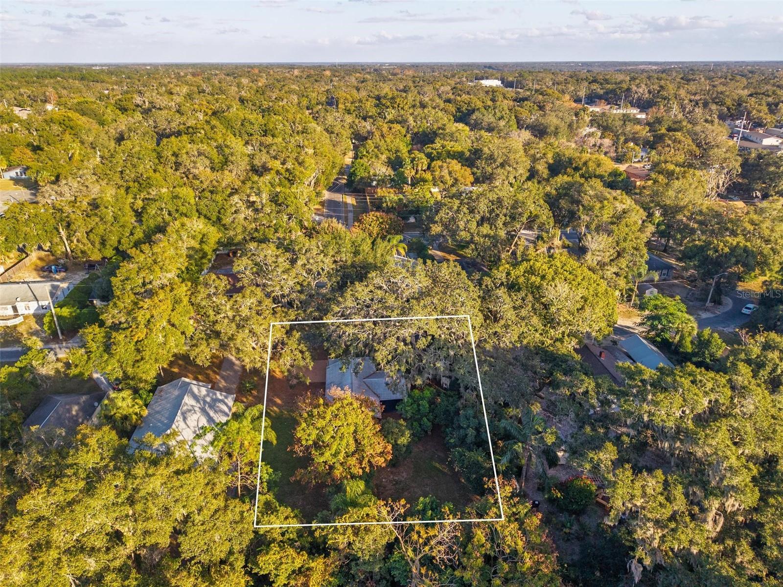 1503 GRANITE STATE CT, MOUNT DORA, FL — photo 126