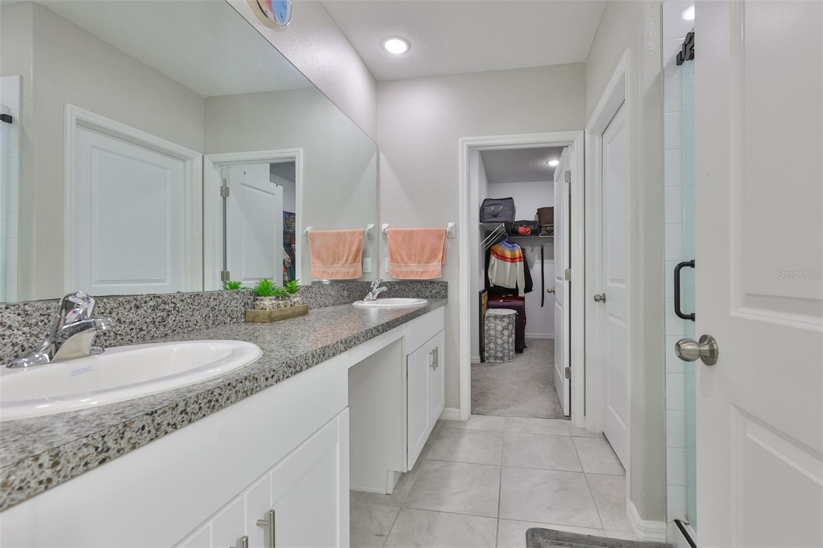 10335 SHADY PRESERVE DR, RIVERVIEW, FL — photo 17