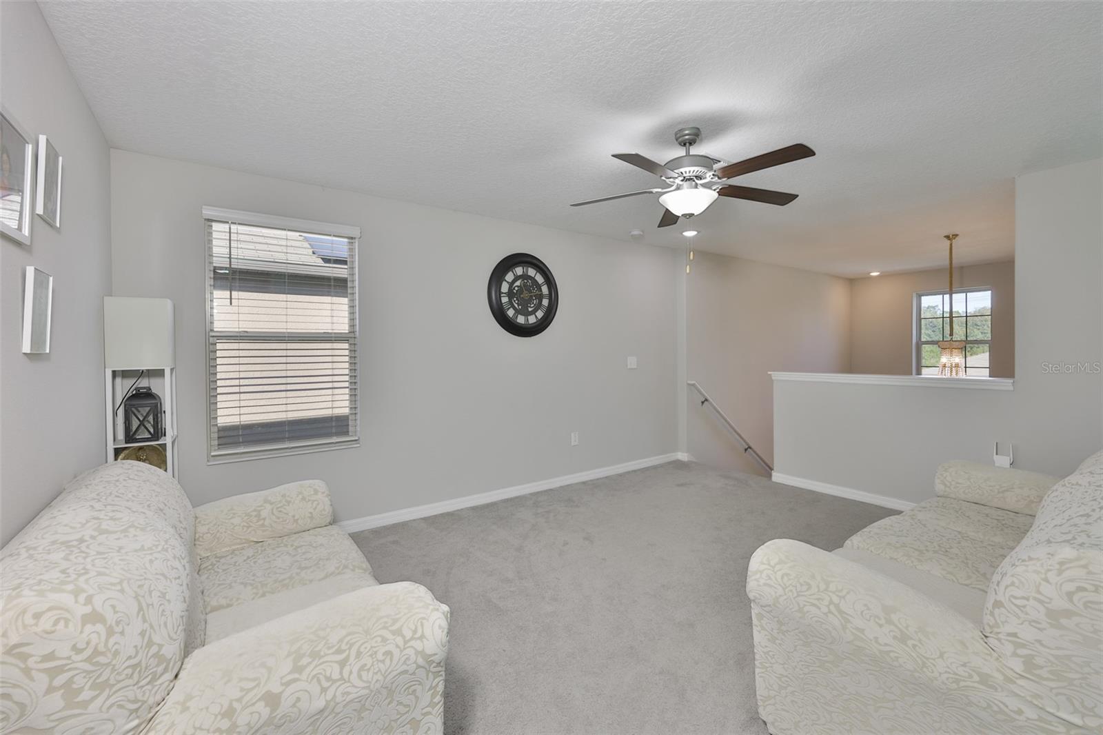 10335 SHADY PRESERVE DR, RIVERVIEW, FL — photo 23