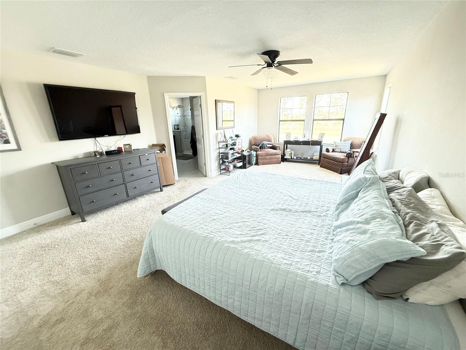 14820 PADDOCK POND AVE, LITHIA, FL — photo 7