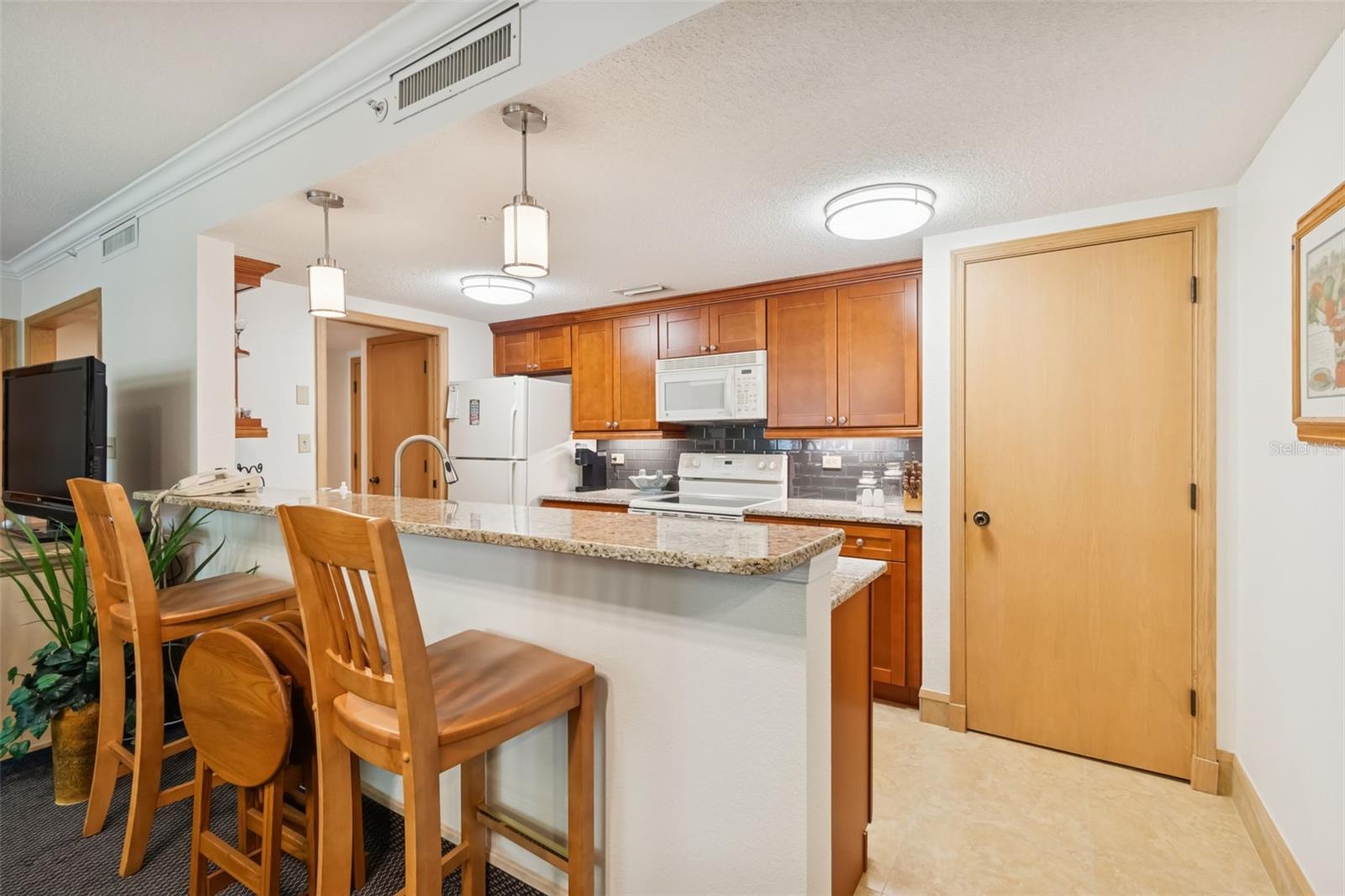 36750 US HIGHWAY 19 N #17208, PALM HARBOR, FL — photo 11