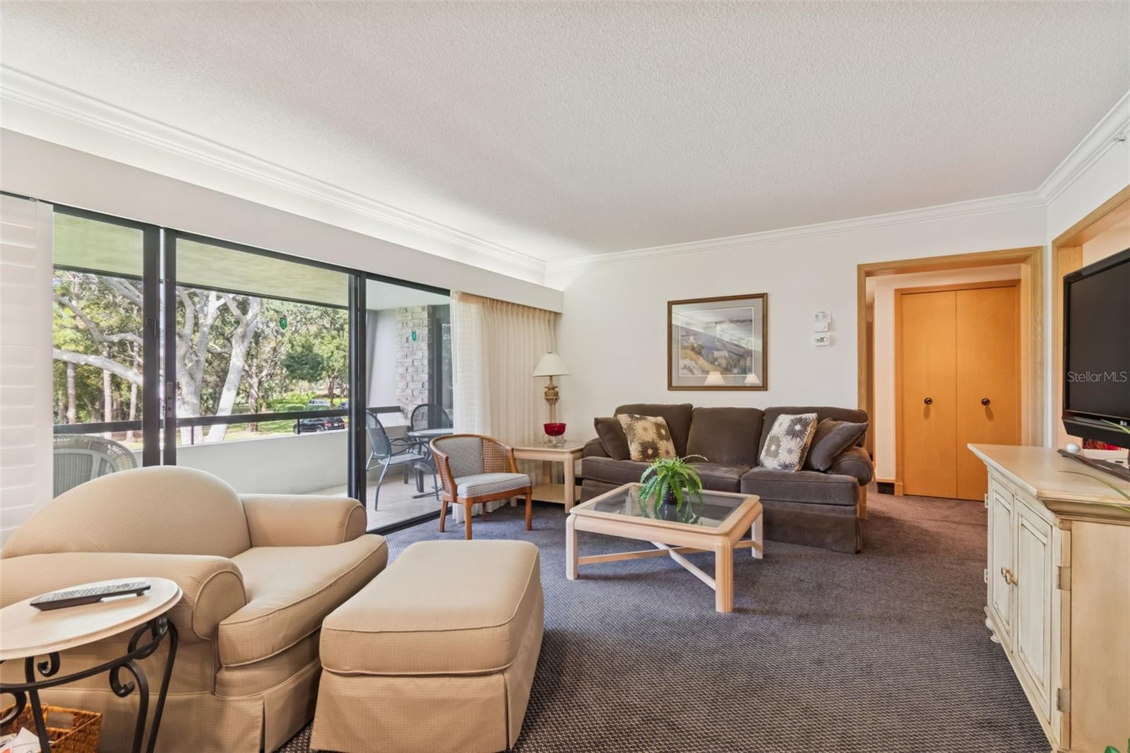 36750 US HIGHWAY 19 N #17208, PALM HARBOR, FL — photo 17