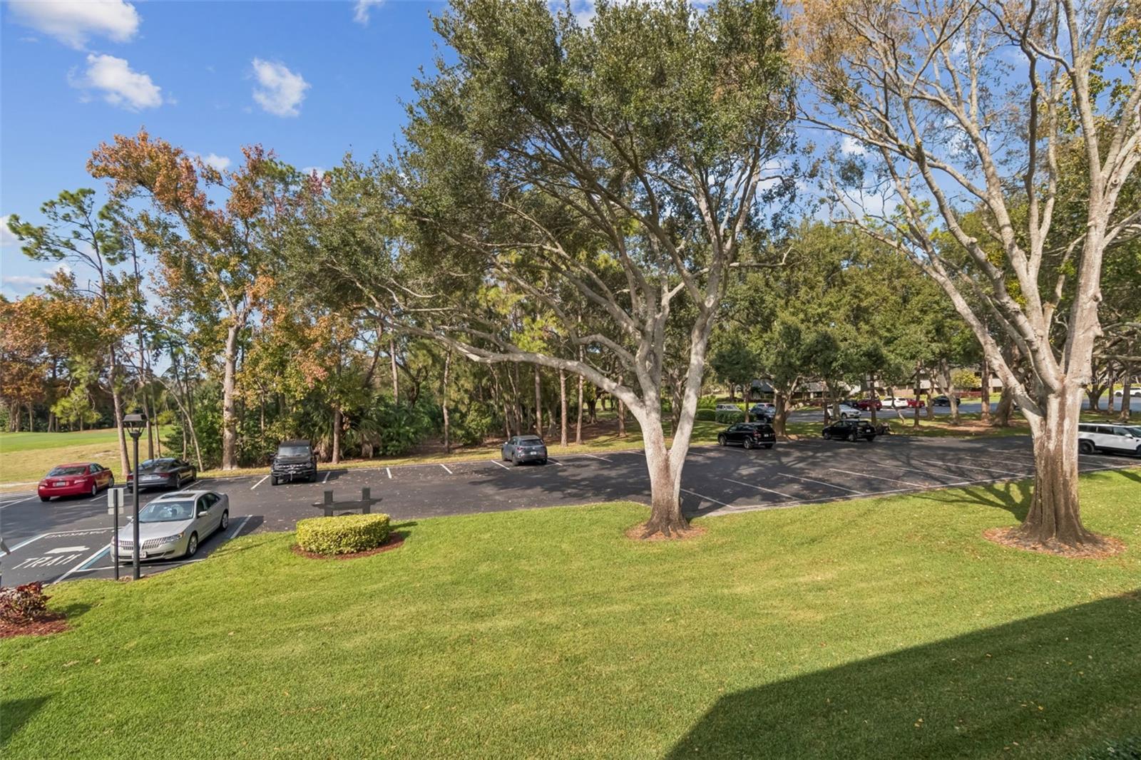 36750 US HIGHWAY 19 N #17208, PALM HARBOR, FL — photo 24