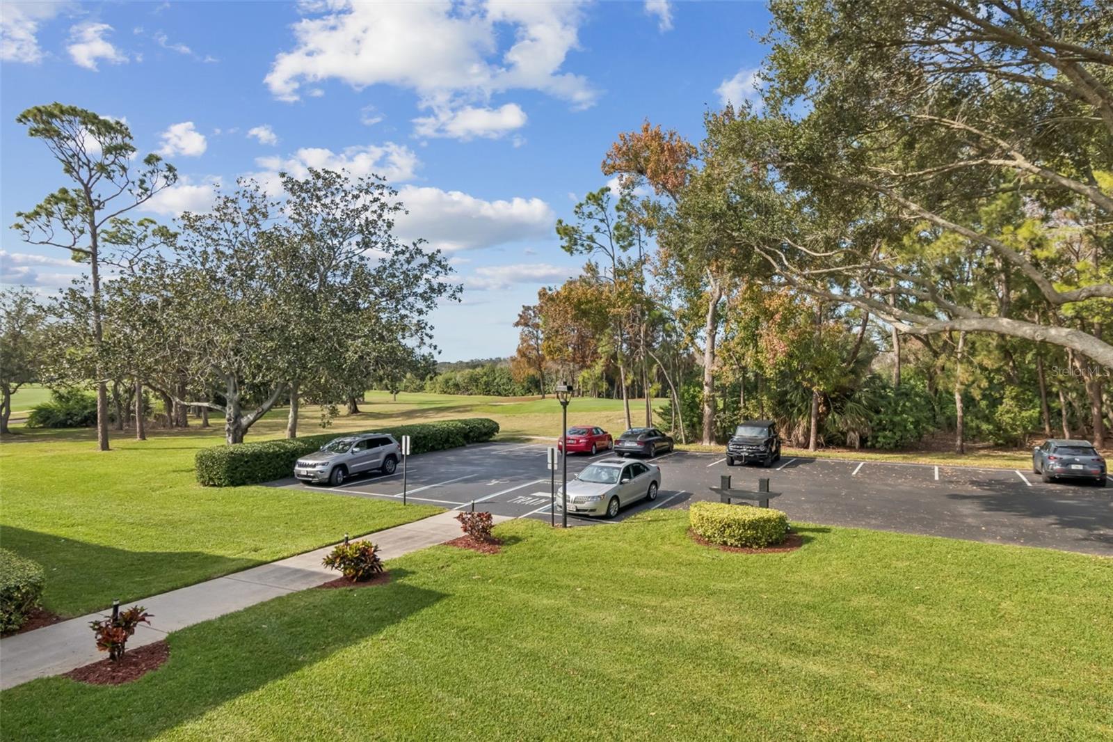 36750 US HIGHWAY 19 N #17208, PALM HARBOR, FL — photo 25
