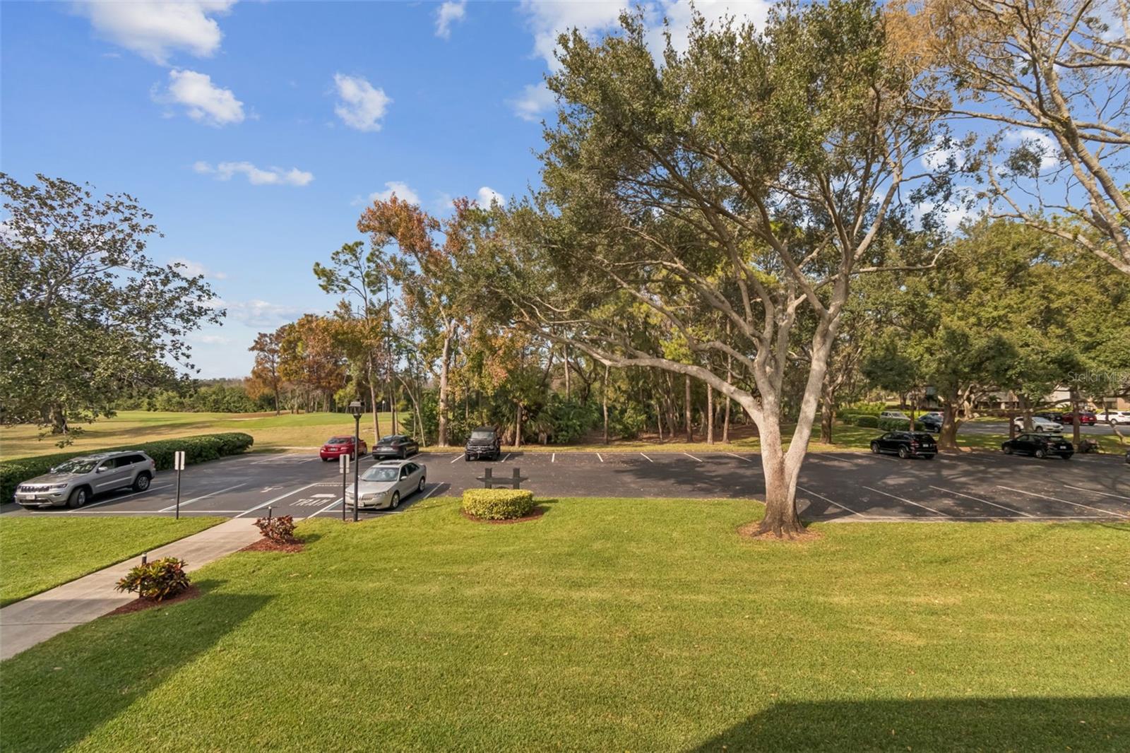 36750 US HIGHWAY 19 N #17208, PALM HARBOR, FL — photo 26
