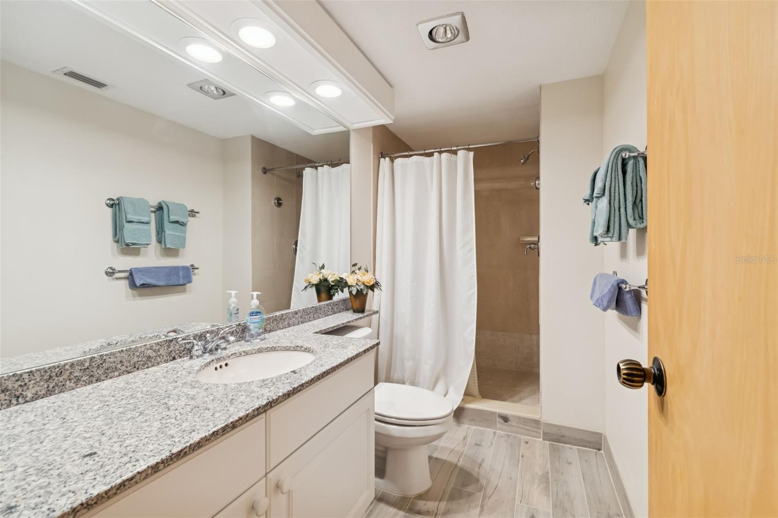 36750 US HIGHWAY 19 N #17208, PALM HARBOR, FL — photo 31