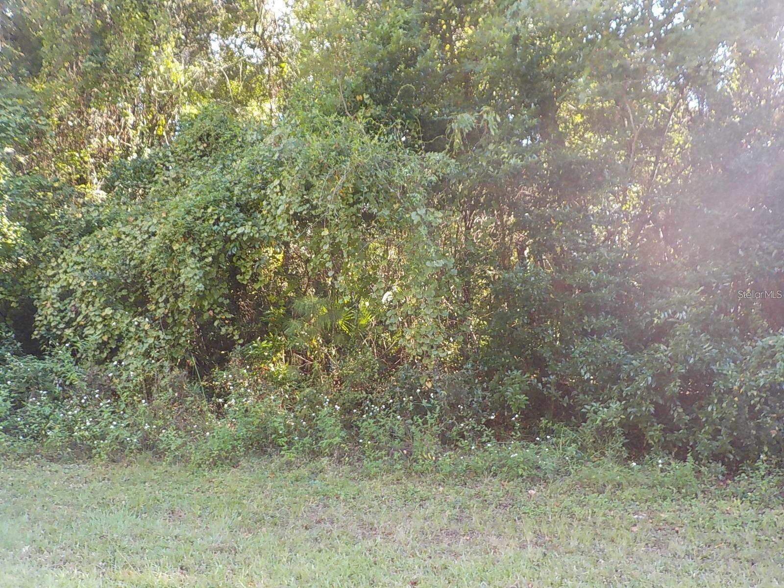 11641 N KENLAKE CIR, DUNNELLON, FL