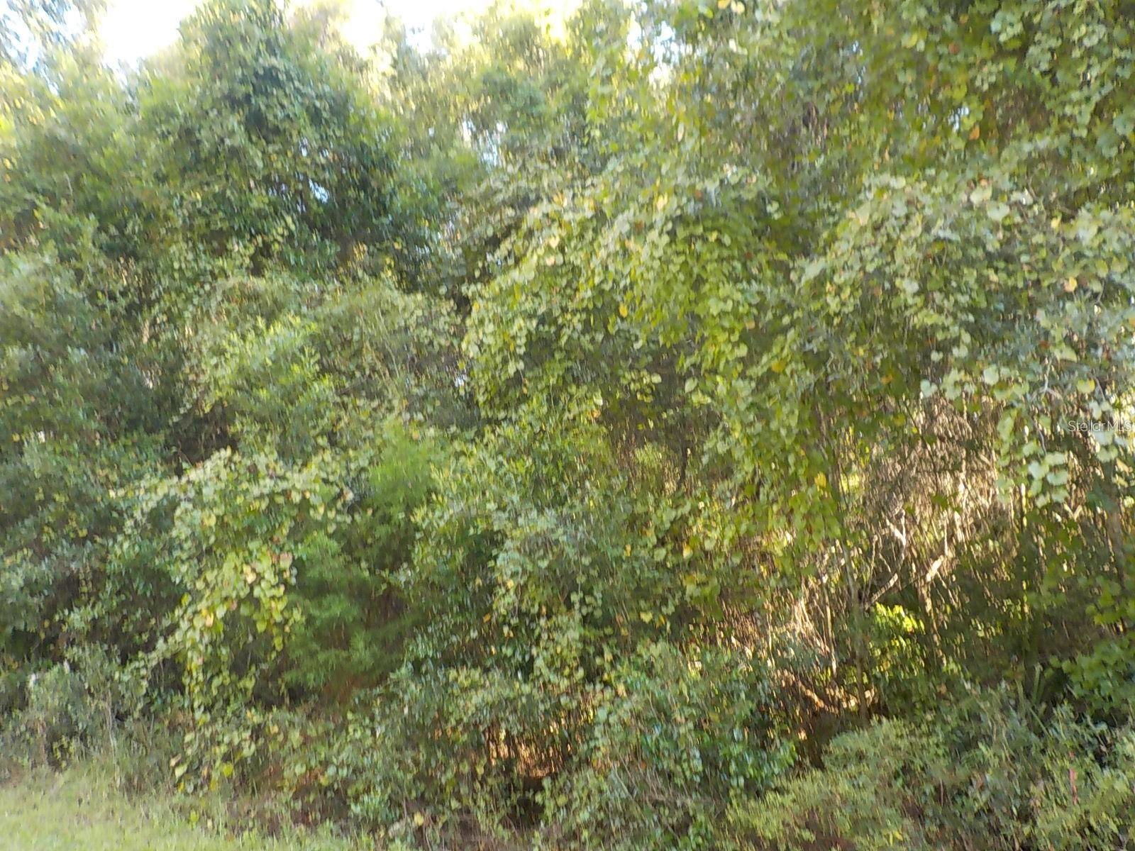 11641 N KENLAKE CIR, DUNNELLON, FL — photo 4