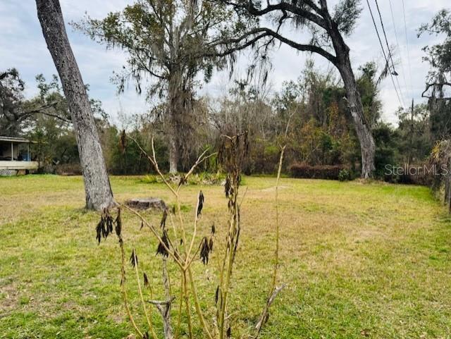 11417 SW 42ND TER, WEBSTER, FL — photo 18
