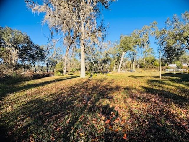 11417 SW 42ND TER, WEBSTER, FL — photo 23