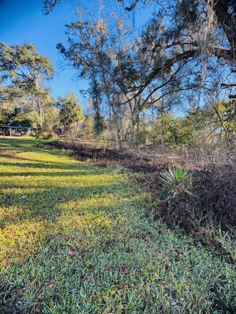 11417 SW 42ND TER, WEBSTER, FL — photo 32