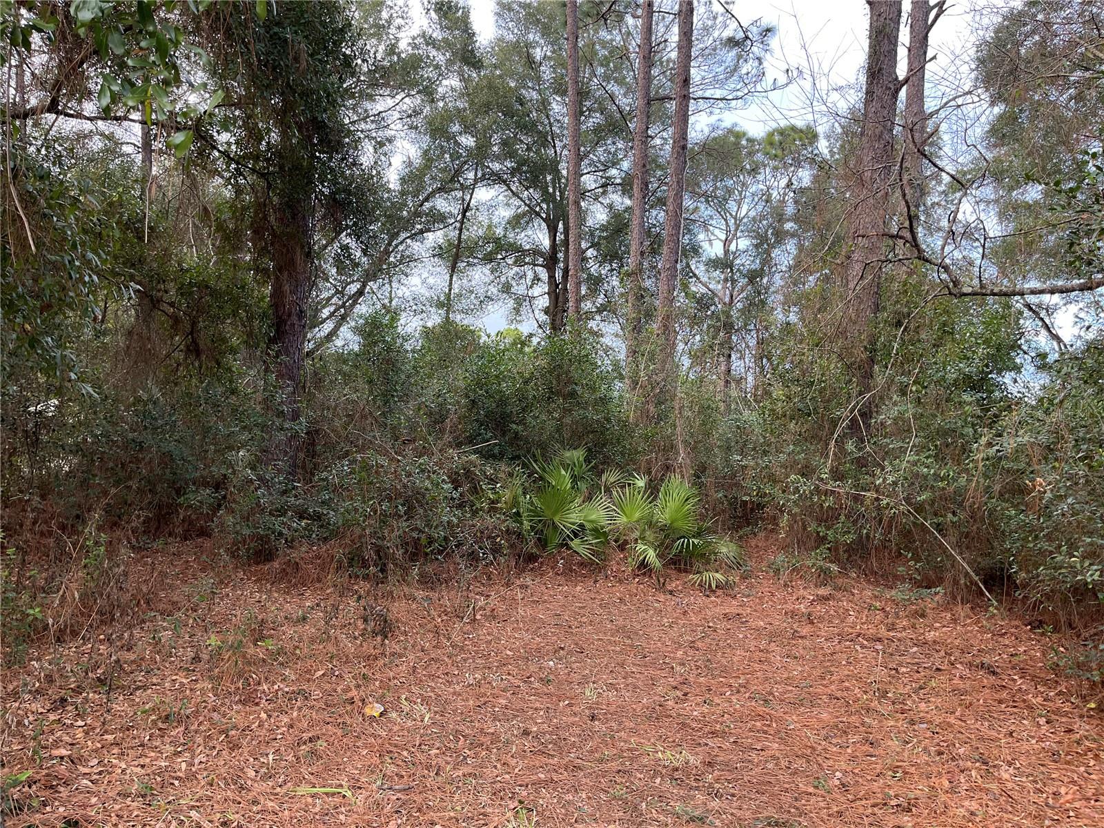 NW 20TH ST, OCALA, FL