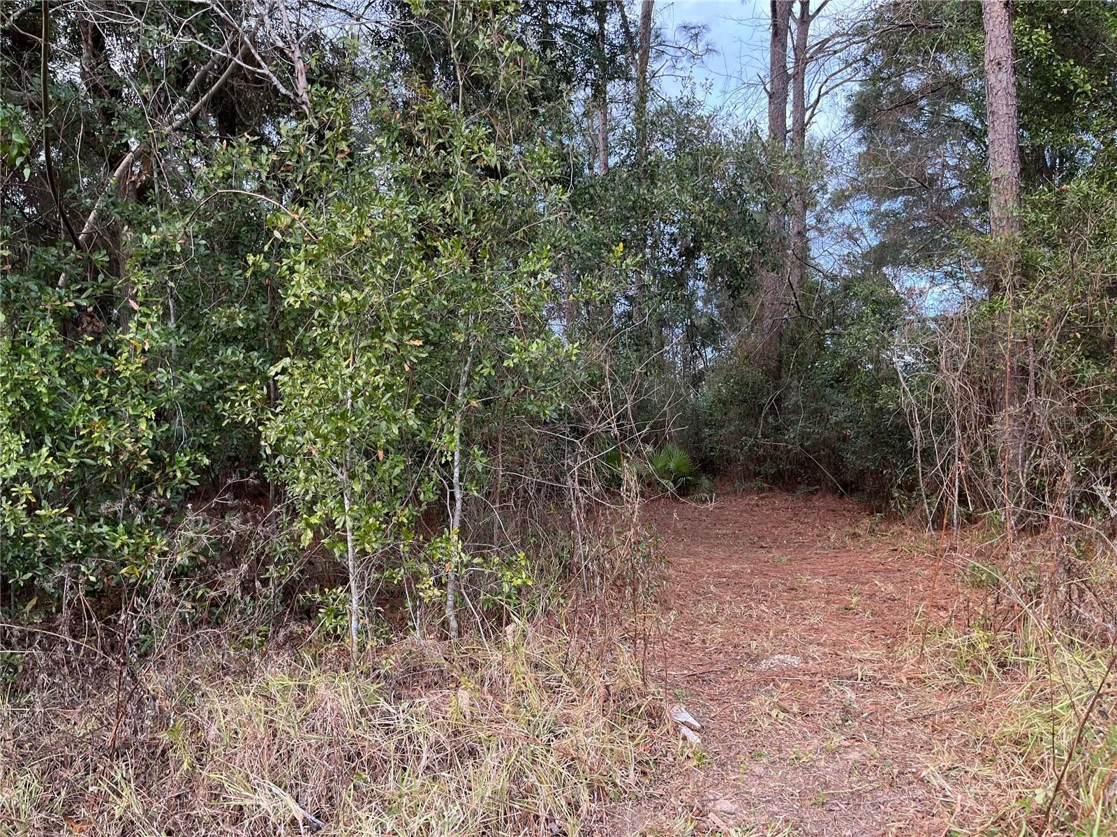 NW 20TH ST, OCALA, FL — photo 4