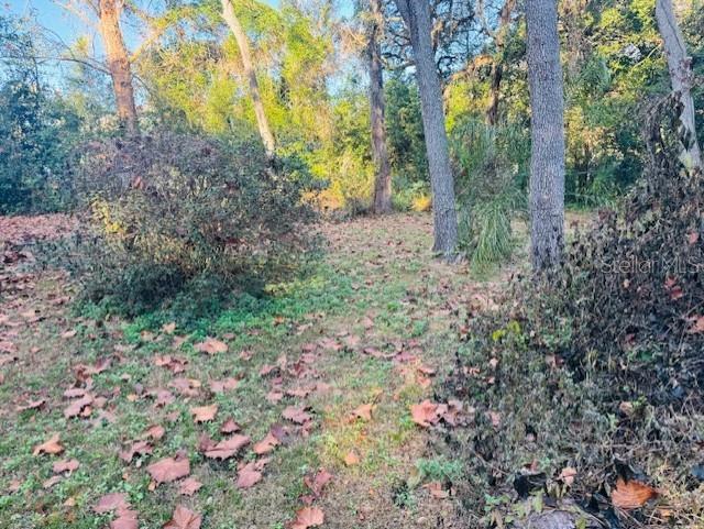4547 CR 692, WEBSTER, FL — photo 3