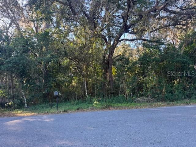 4547 CR 692, WEBSTER, FL — photo 19