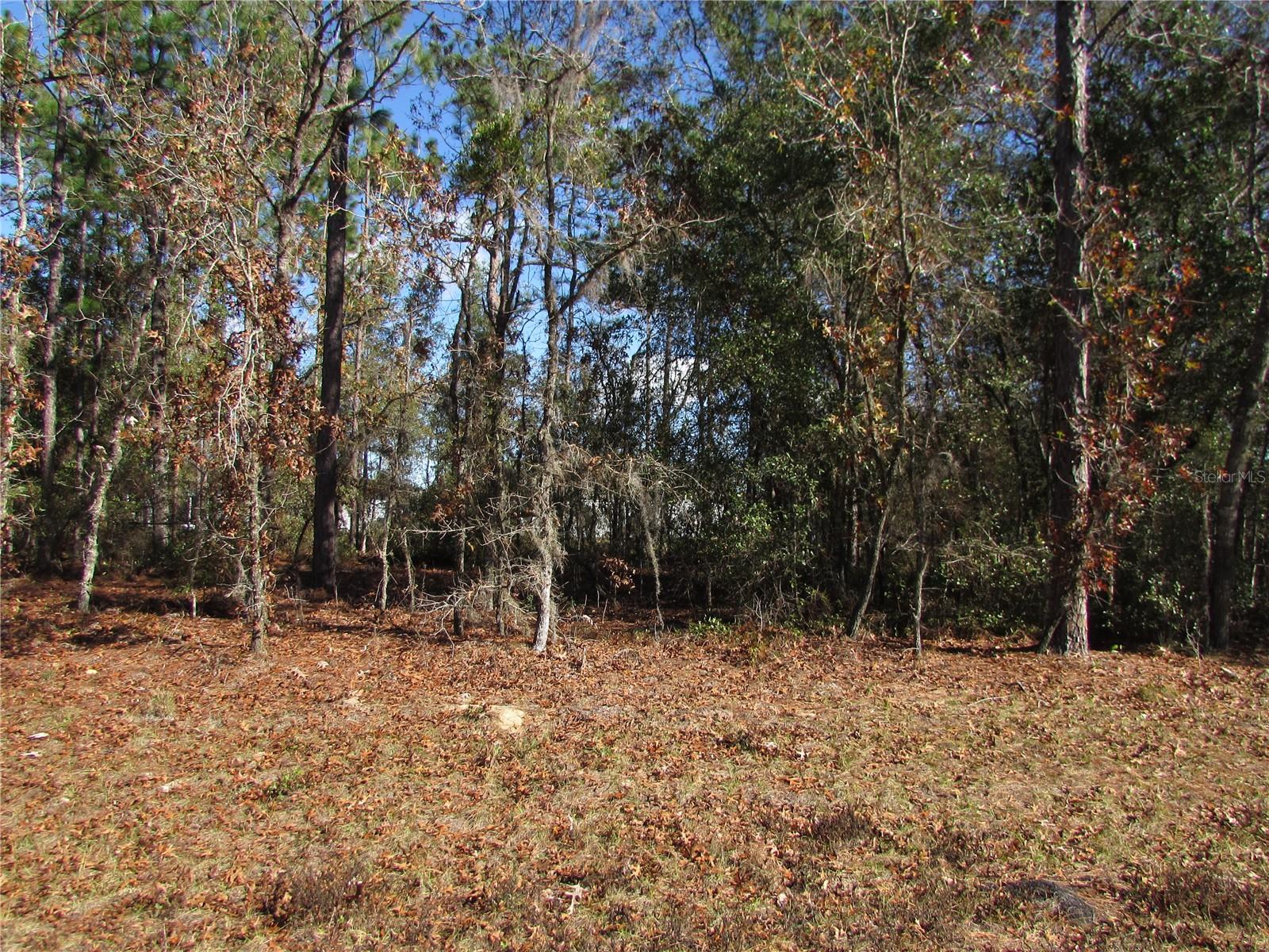 Lot 18 SW 156 ST, OCALA, FL