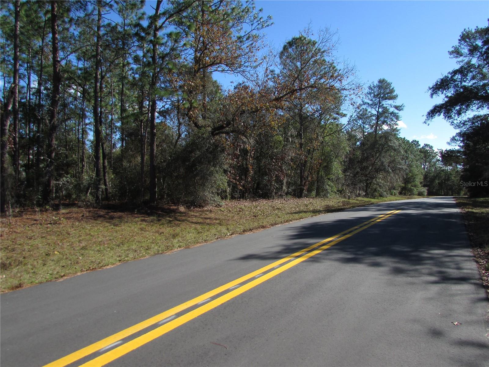 Lot 18 SW 156 ST, OCALA, FL — photo 3