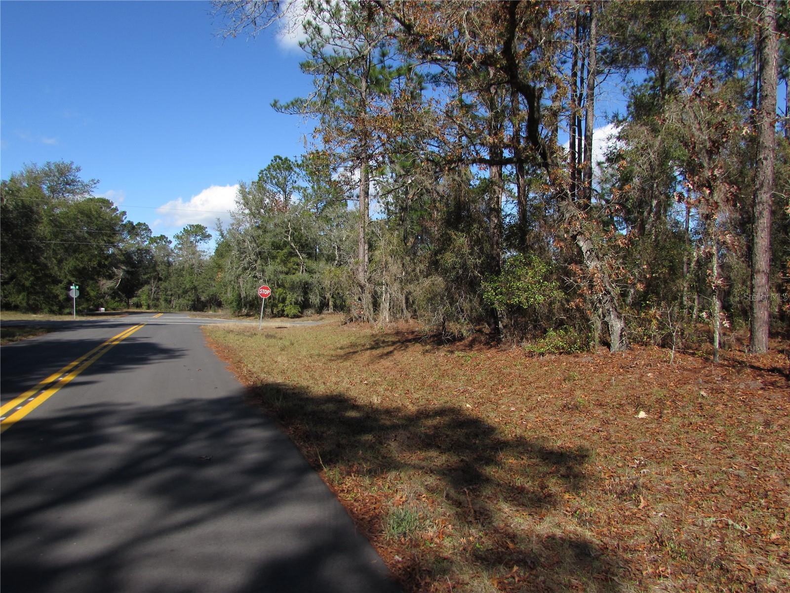 Lot 18 SW 156 ST, OCALA, FL — photo 5