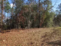 Lot 18 SW 156 ST — photo 8