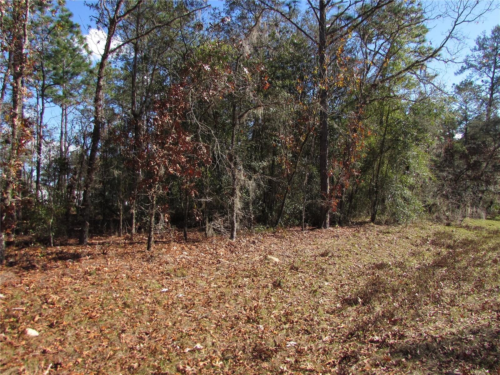Lot 18 SW 156 ST, OCALA, FL — photo 7