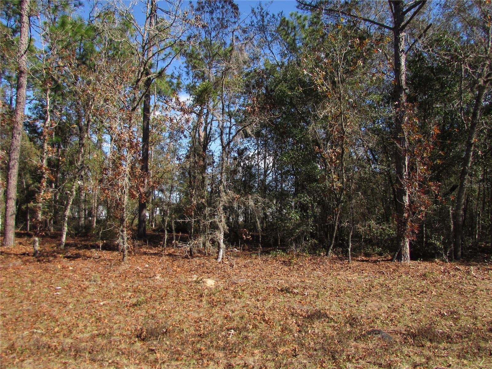 Lot 18 SW 156 ST, OCALA, FL — photo 17