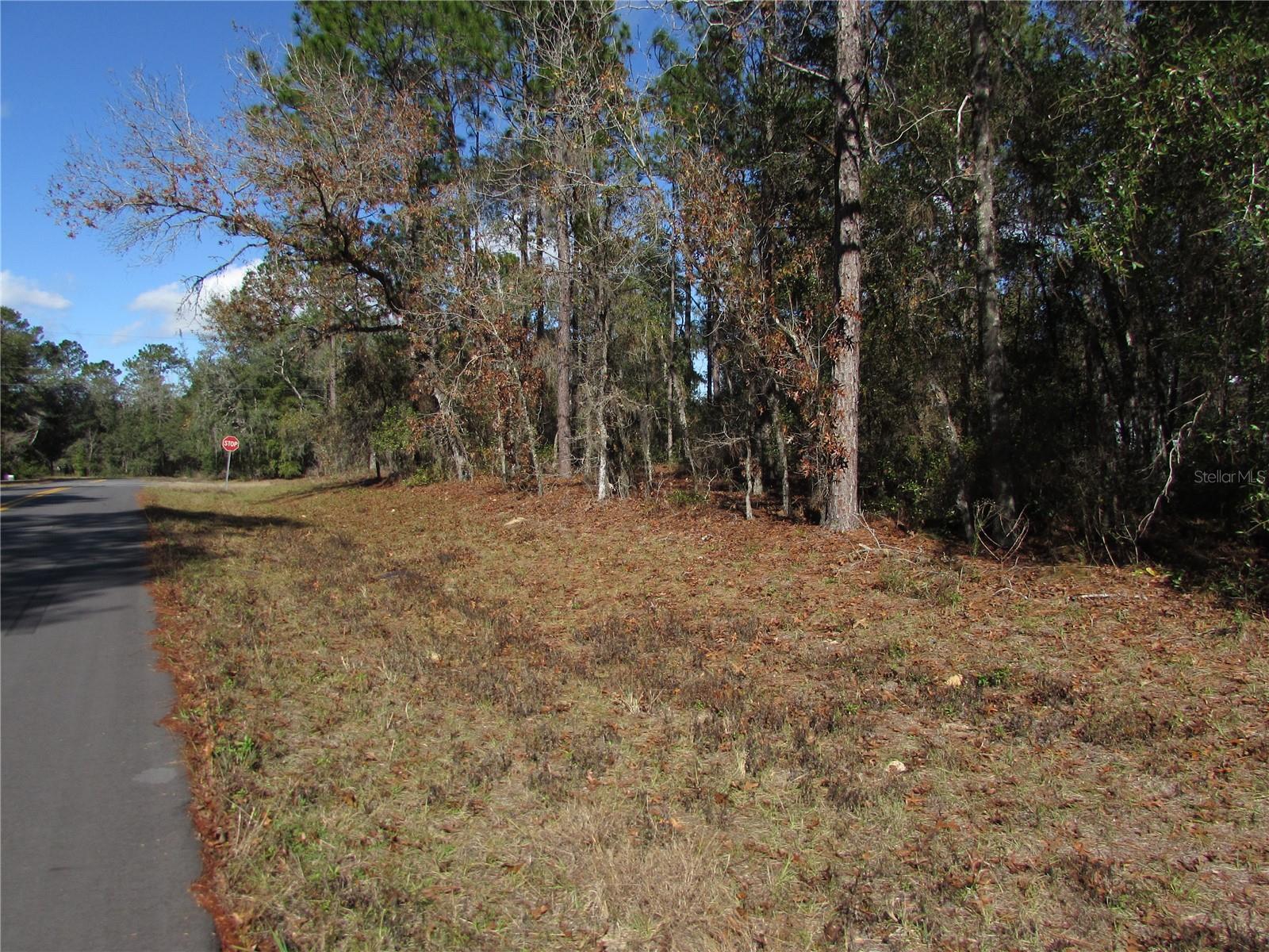 Lot 18 SW 156 ST, OCALA, FL — photo 19