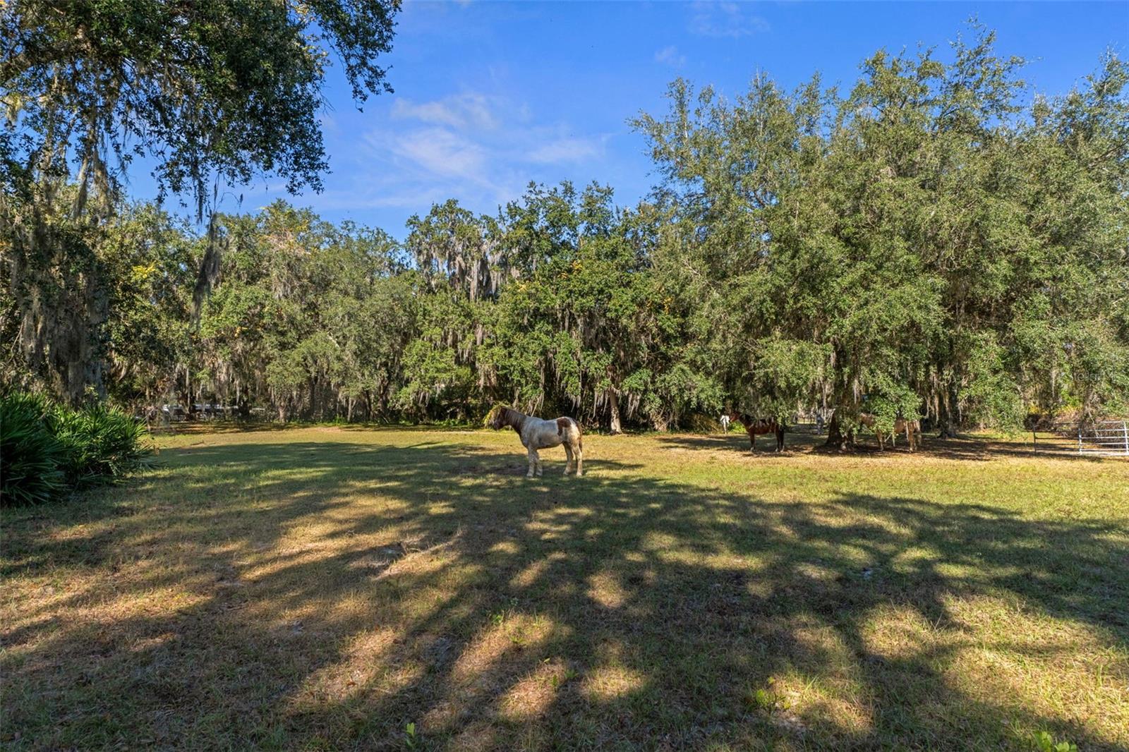 , OKAHUMPKA, FL — photo 158