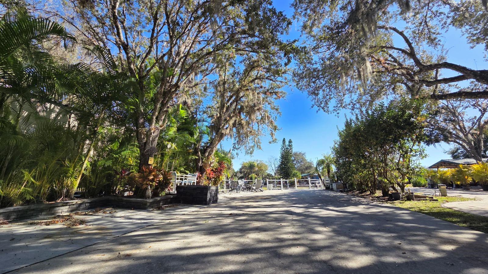 451 WATERWAY DR, RIVER RANCH, FL — photo 5