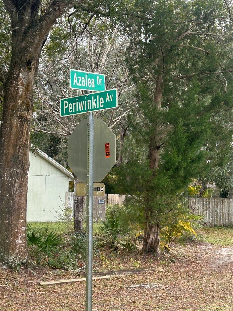PERIWINKLE DR, DELAND, FL — photo 4