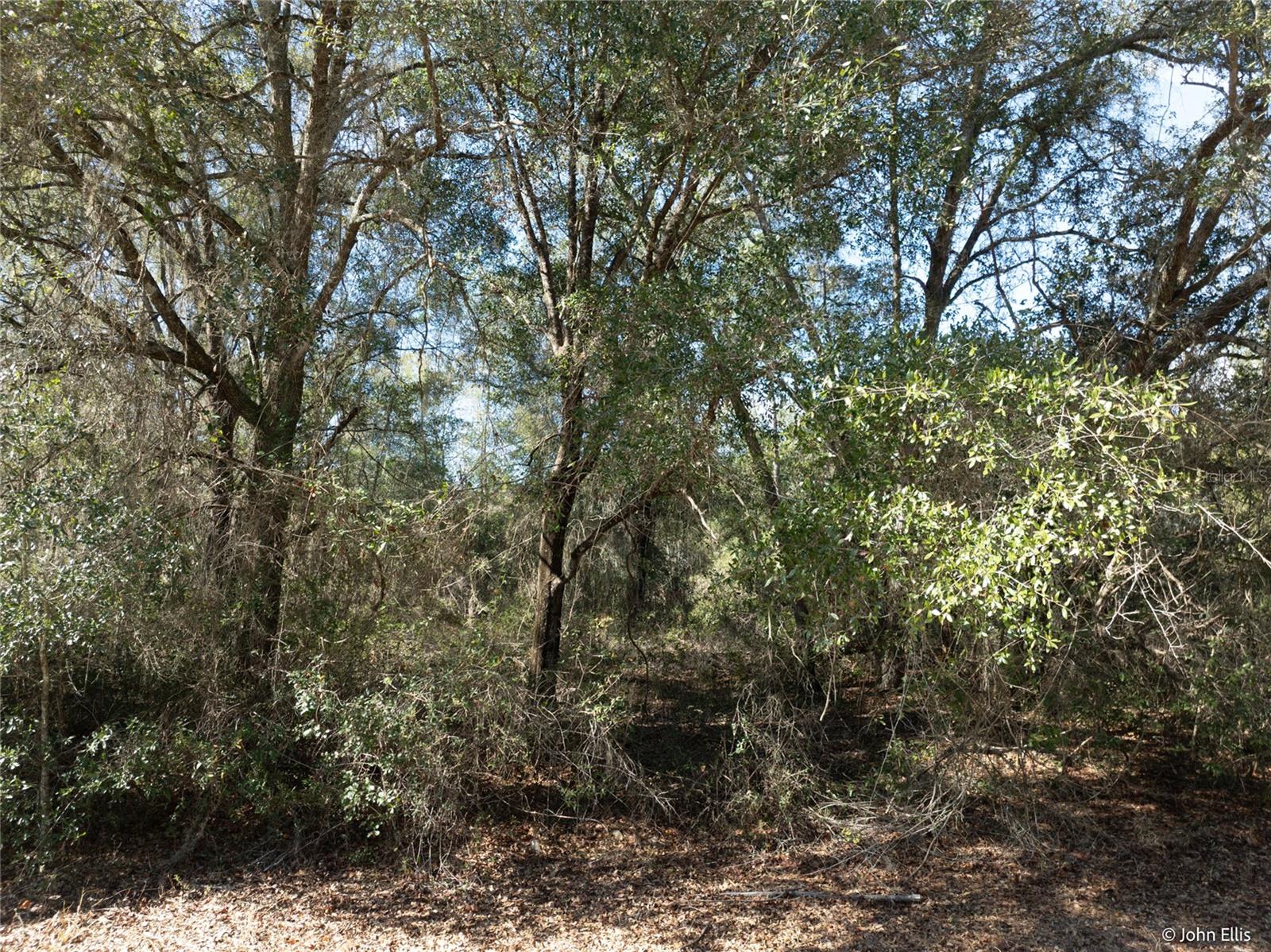 7644 HURON CT, KEYSTONE HEIGHTS, FL — photo 5