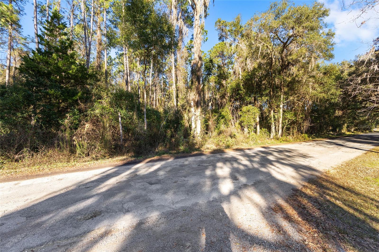 TBD SW 125TH AVE, OCALA, FL — photo 4