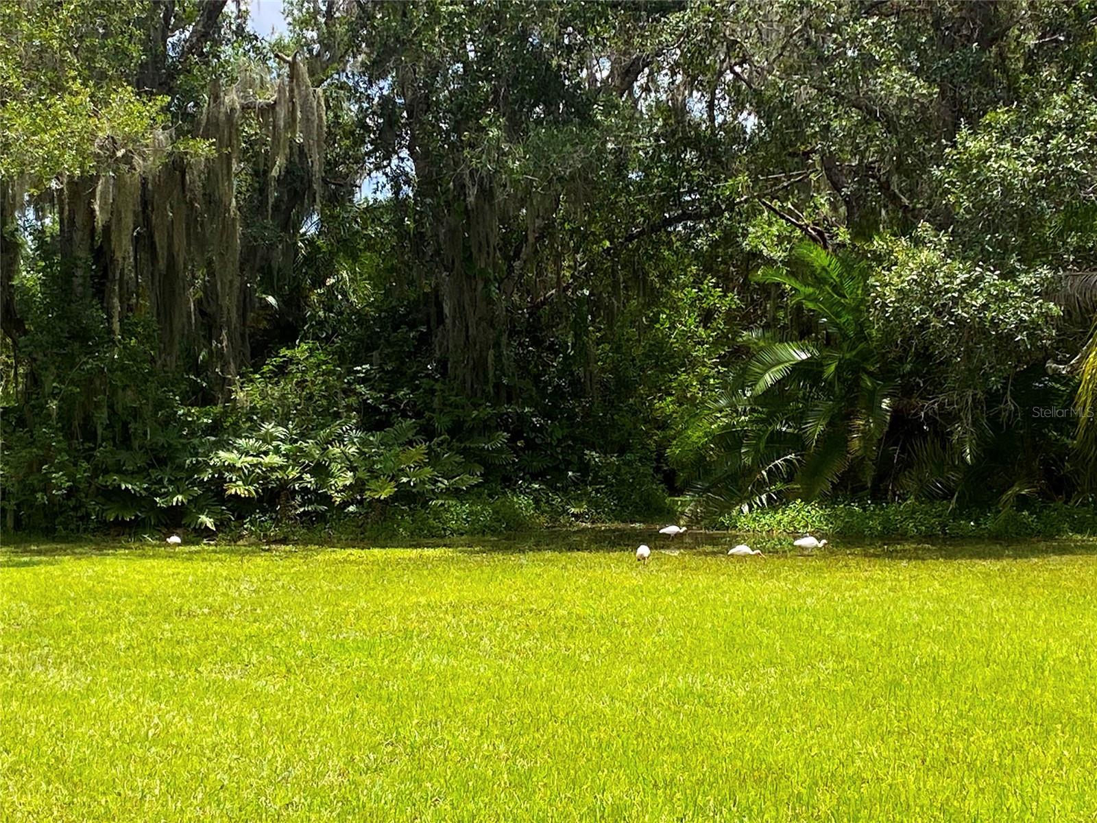 7808 34TH CT E, SARASOTA, FL — photo 9