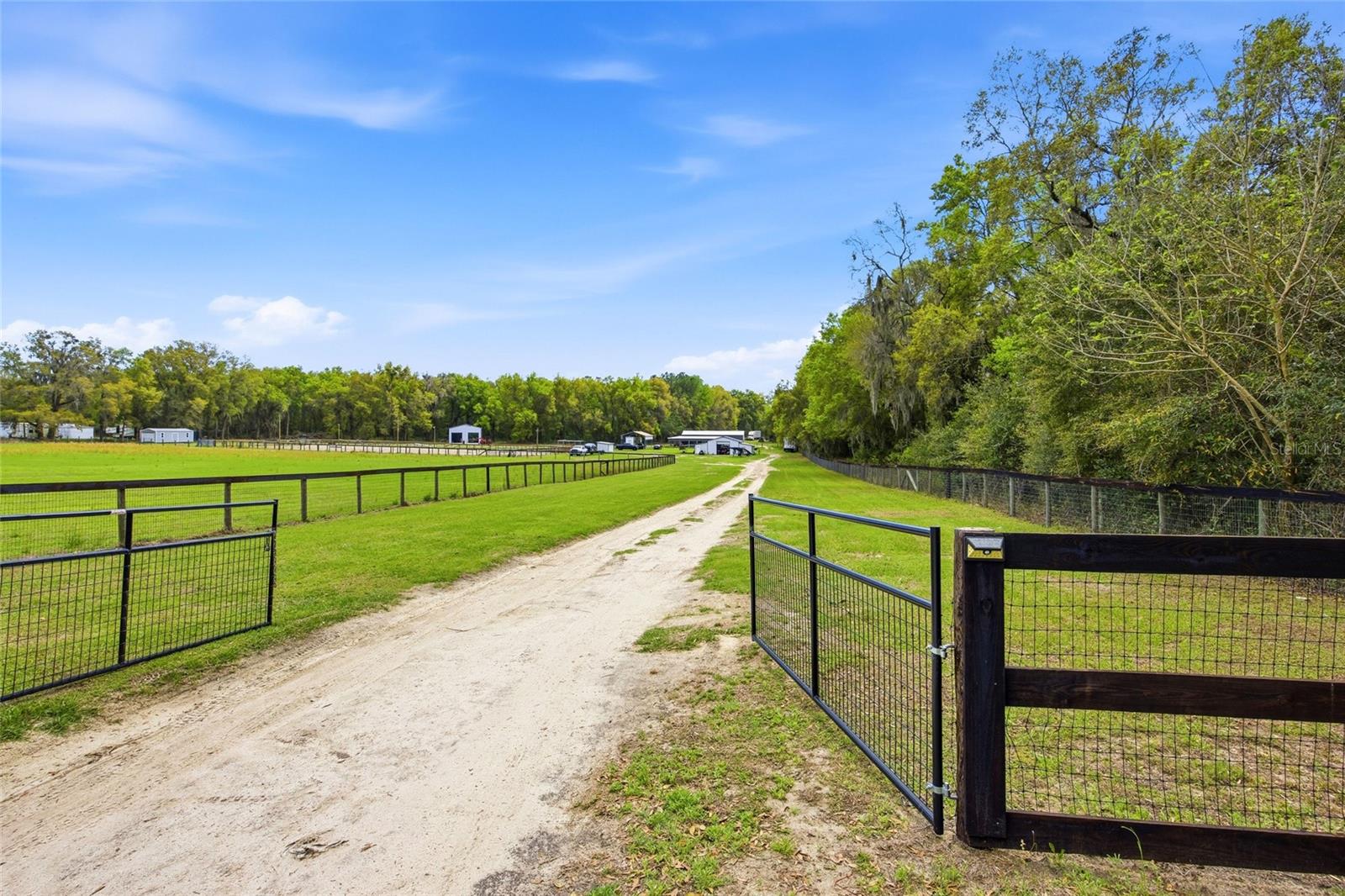 3660 W HWY 329, REDDICK, FL — photo 2