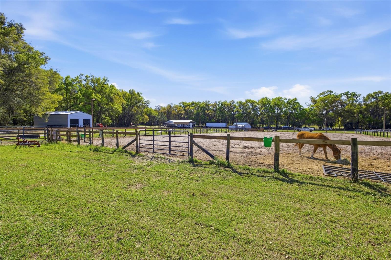 3660 W HWY 329, REDDICK, FL — photo 30