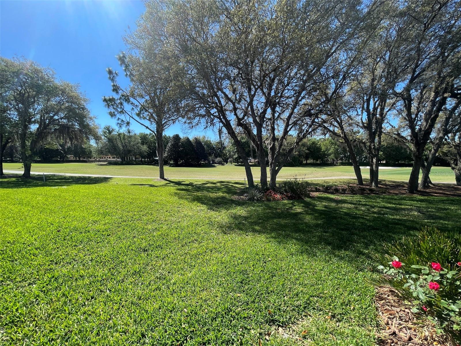 1240 W DIAMOND SHORE LOOP, HERNANDO, FL — photo 30