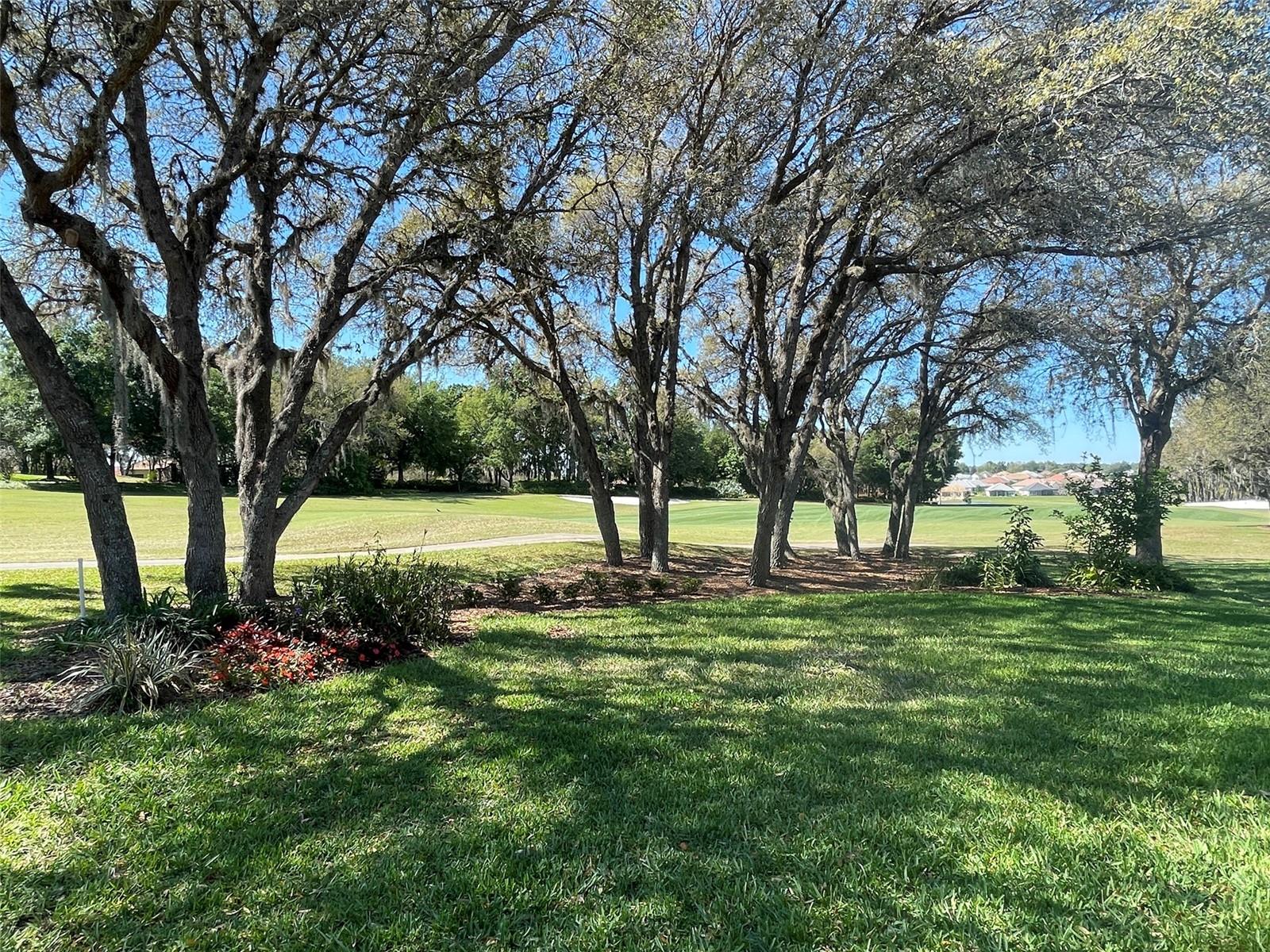 1240 W DIAMOND SHORE LOOP, HERNANDO, FL — photo 32