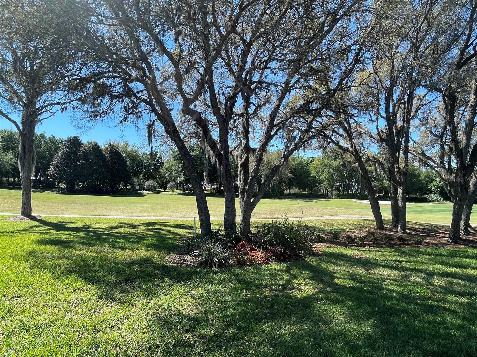 1240 W DIAMOND SHORE LOOP, HERNANDO, FL — photo 33