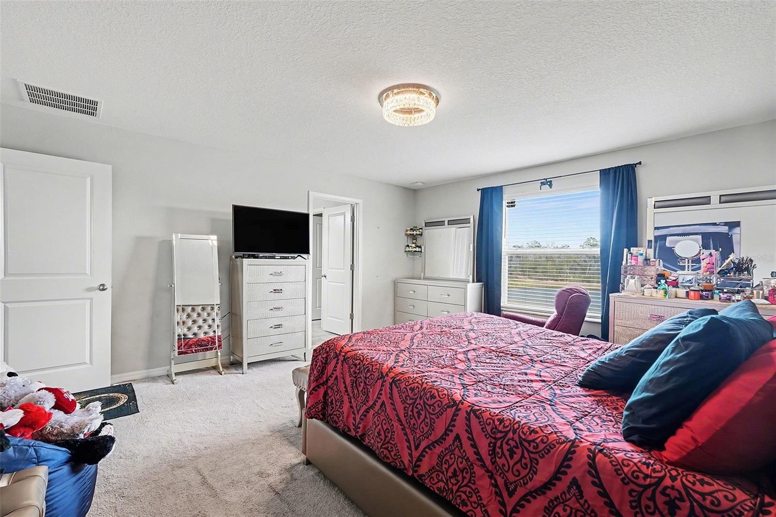 17206 WHITE MANGROVE DR, WIMAUMA, FL — photo 14