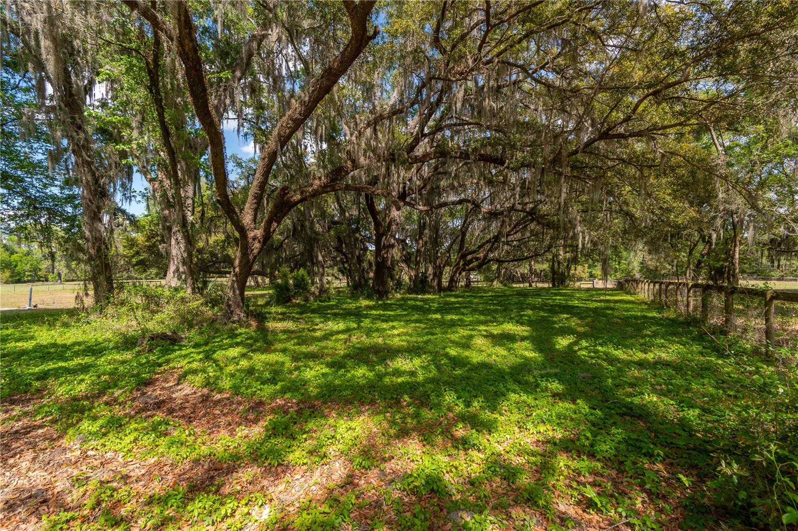 6124 NW 160TH ST, REDDICK, FL — photo 23