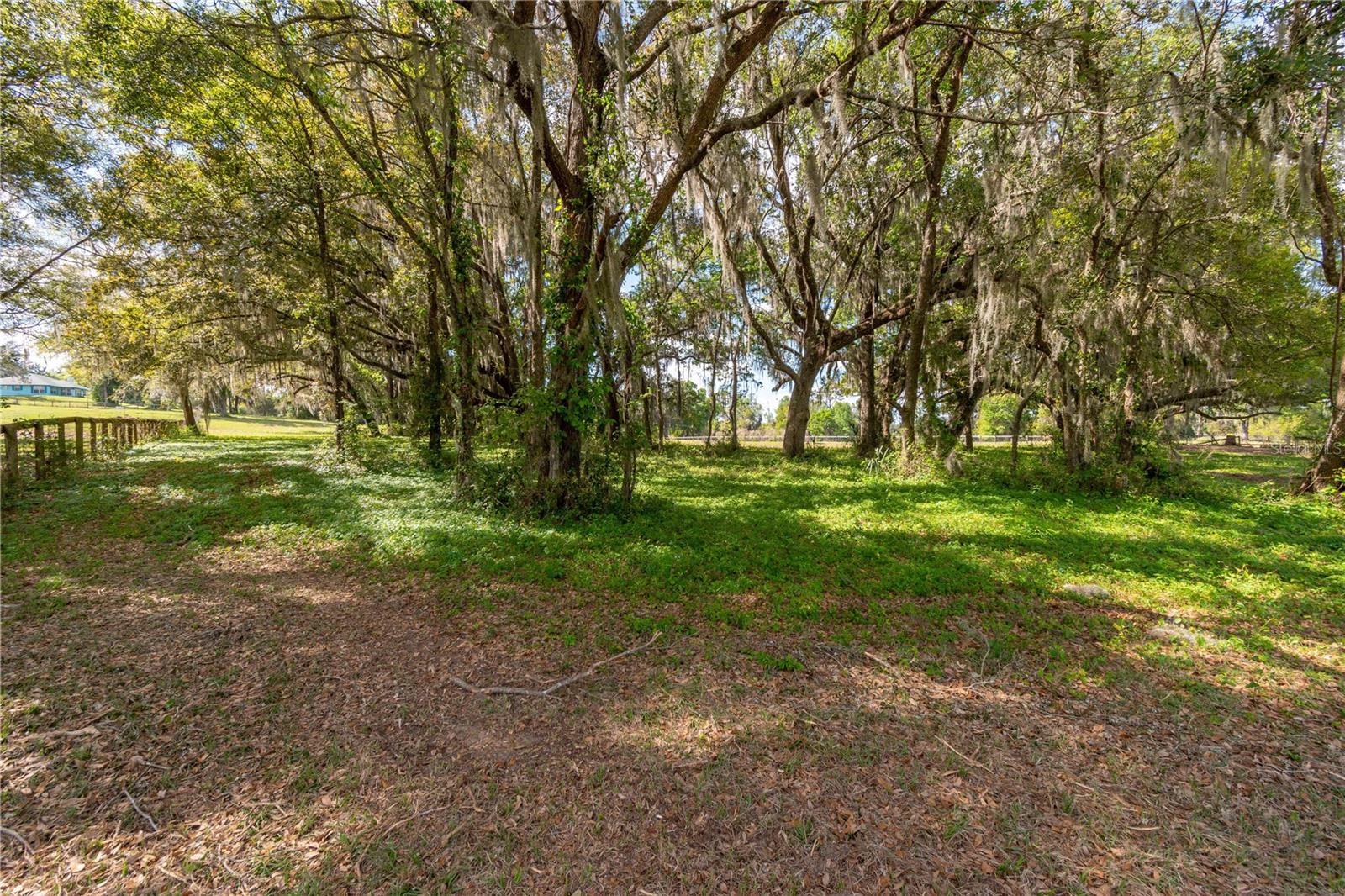 6124 NW 160TH ST, REDDICK, FL — photo 27