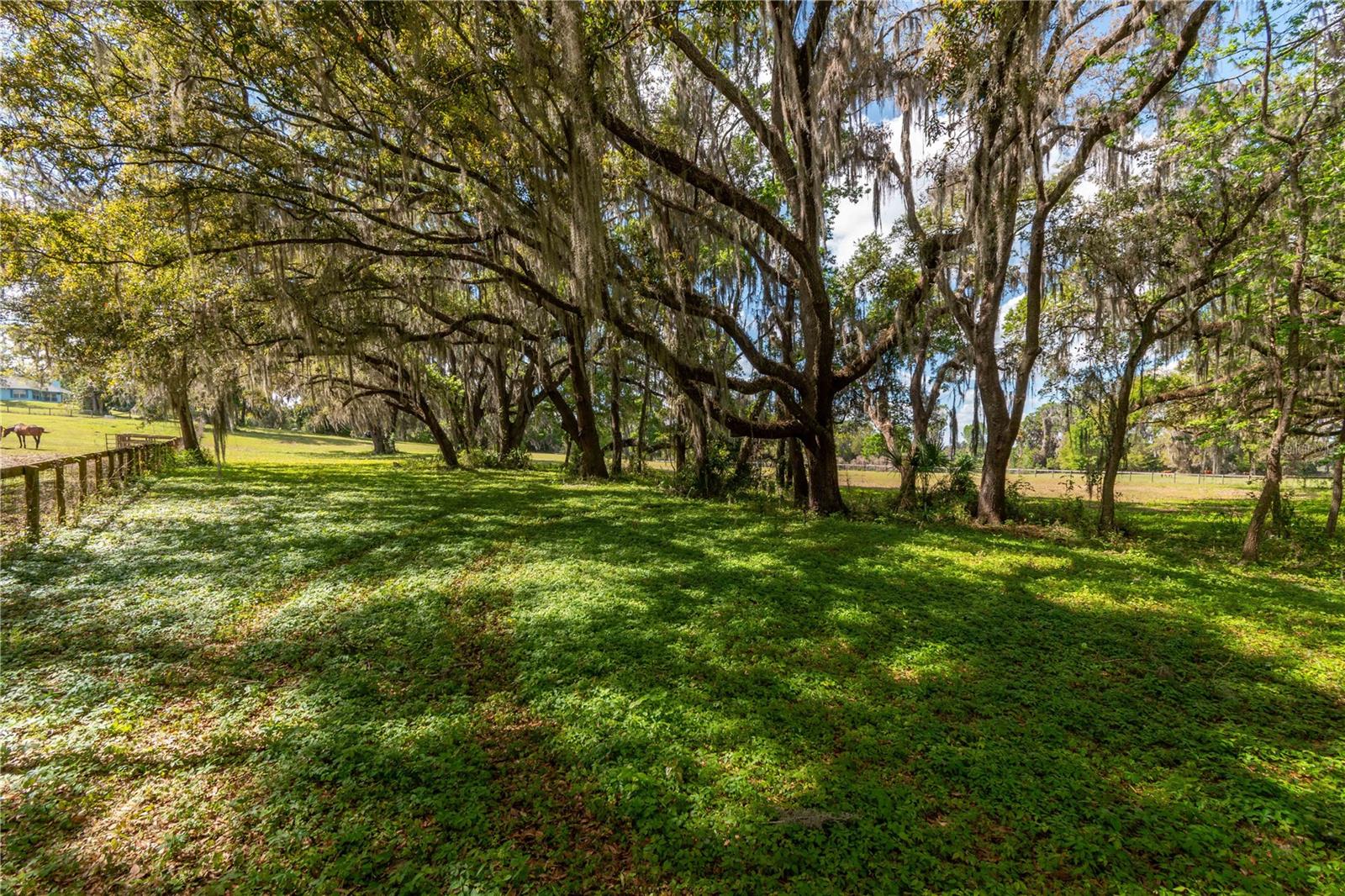 6124 NW 160TH ST, REDDICK, FL — photo 30