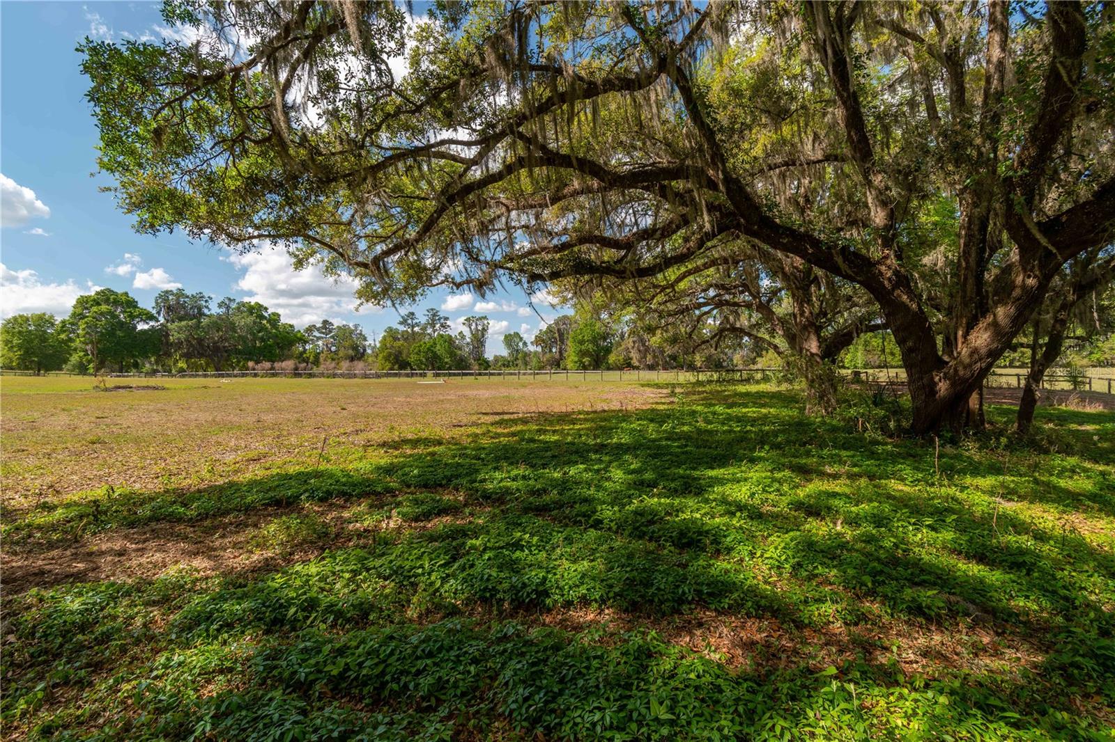 6124 NW 160TH ST, REDDICK, FL — photo 31