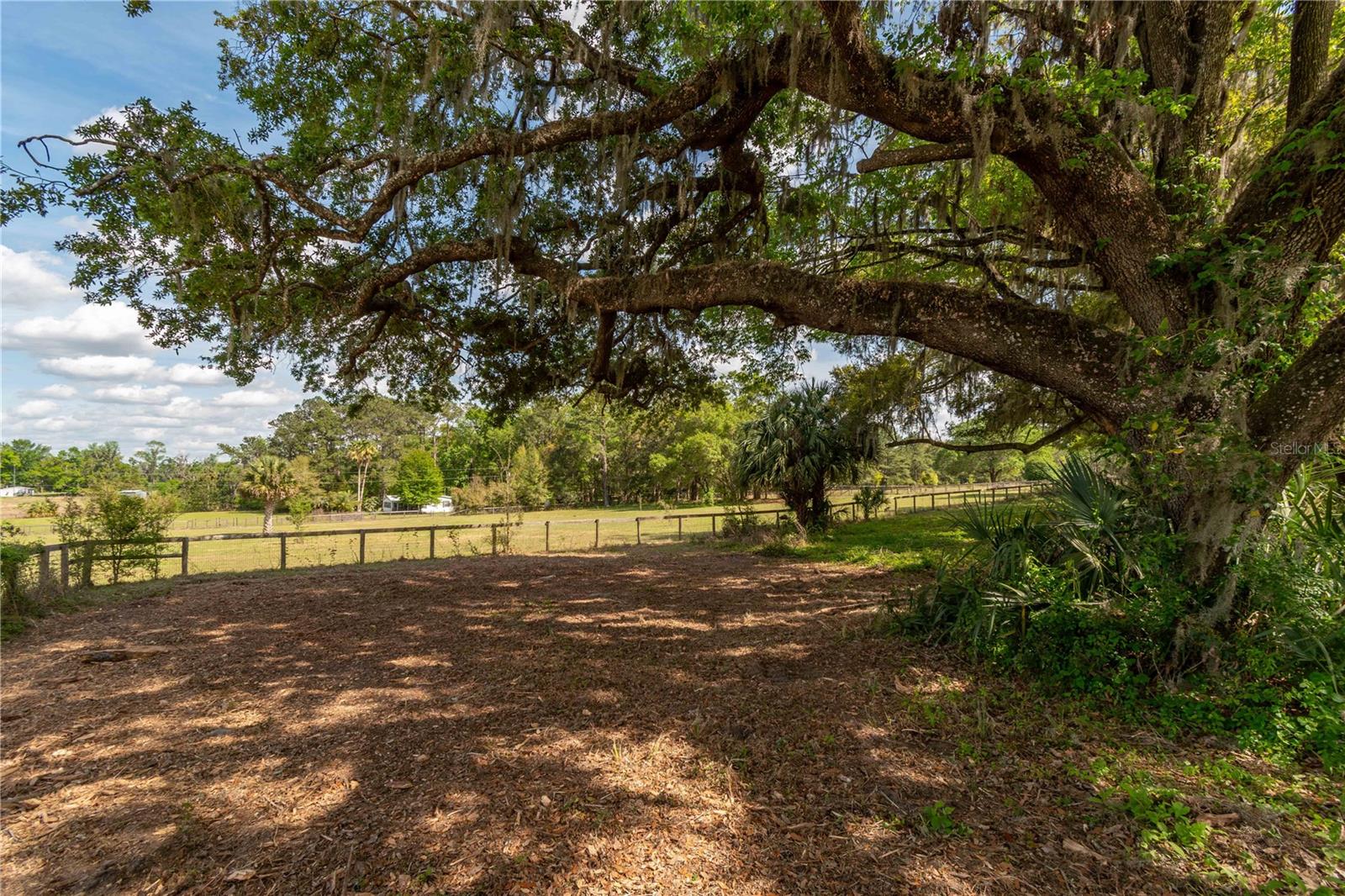 6124 NW 160TH ST, REDDICK, FL — photo 34