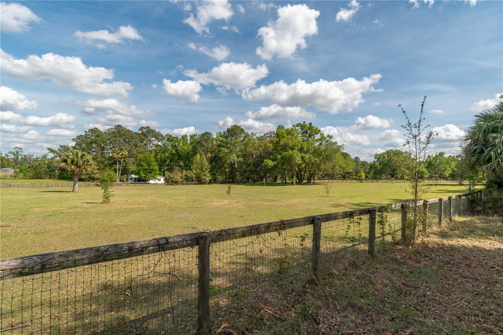 6124 NW 160TH ST, REDDICK, FL — photo 35