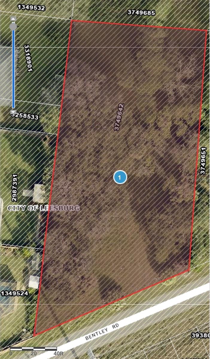 BENTLEY RD, LEESBURG, FL — photo 5