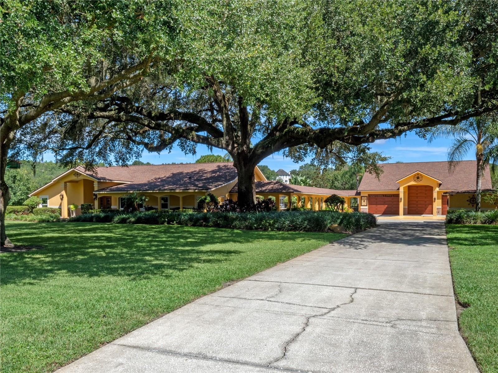 32133 WOLF BRANCH LN, SORRENTO, FL — photo 9