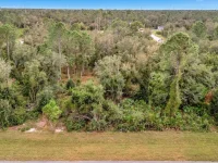 21035 HILLSBOROUGH BLVD — photo 1