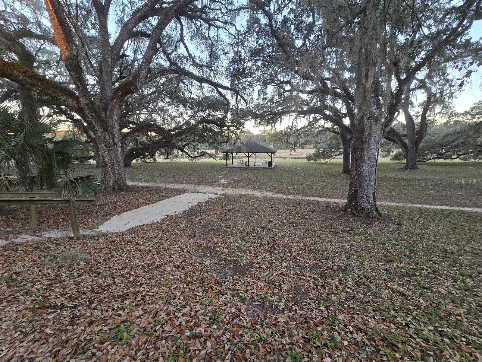SW 136TH CT. RD, DUNNELLON, FL — photo 5